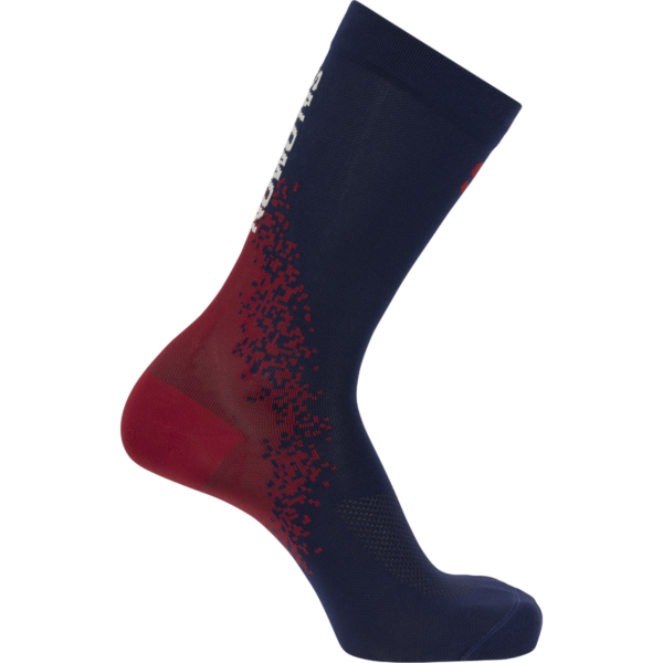 Skarpety Do Biegania Salomon Gravel Crew